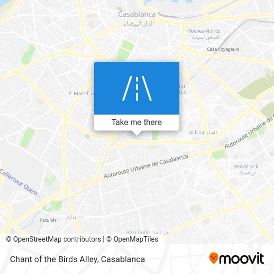 Chant of the Birds Alley map