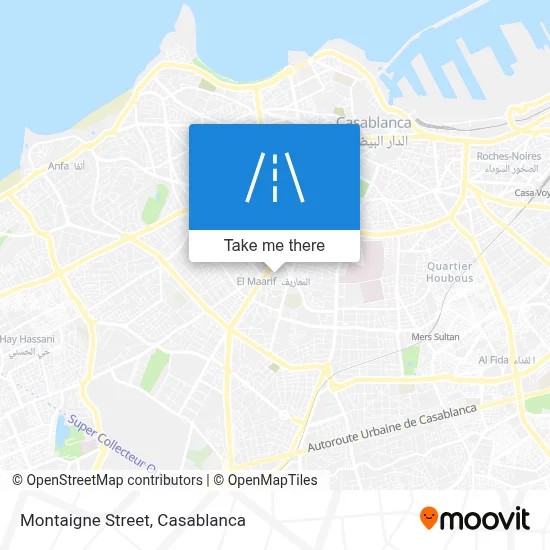 Montaigne Street map