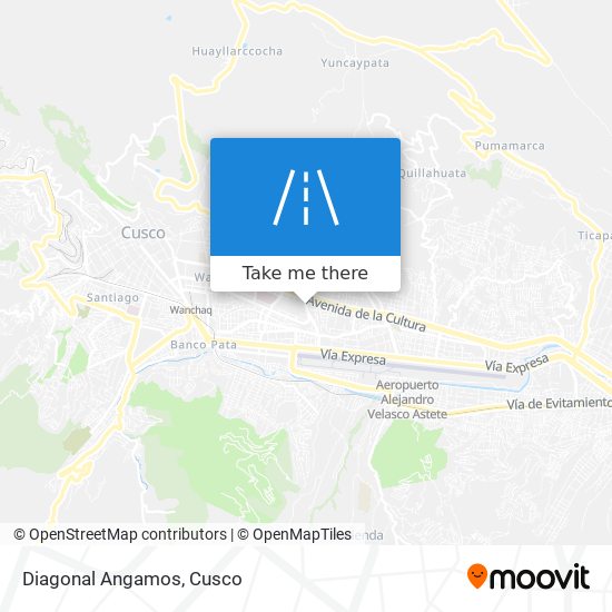 Diagonal Angamos map