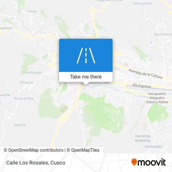 Mapa de Calle Los Rosales