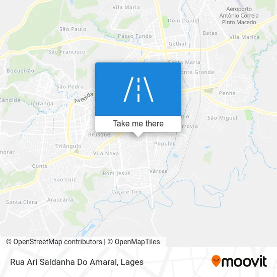 Rua Ari Saldanha Do Amaral map