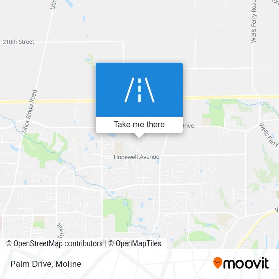 Mapa de Palm Drive