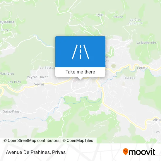 Avenue De Prahines map