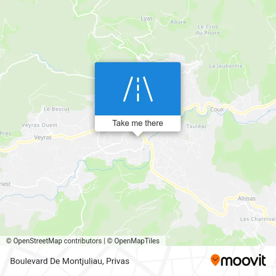 Boulevard De Montjuliau map