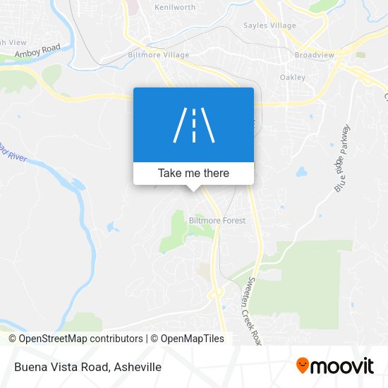 Buena Vista Road map