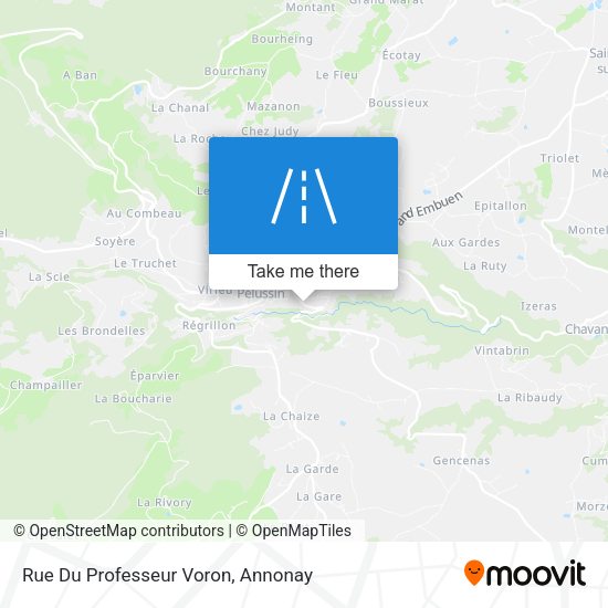 Rue Du Professeur Voron map
