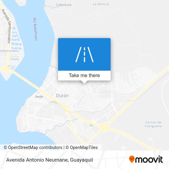 Mapa de Avenida Antonio Neumane