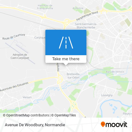 Avenue De Woodbury map