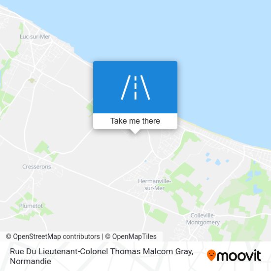 Rue Du Lieutenant-Colonel Thomas Malcom Gray map