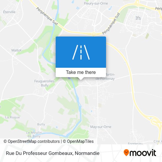 Rue Du Professeur Gombeaux map