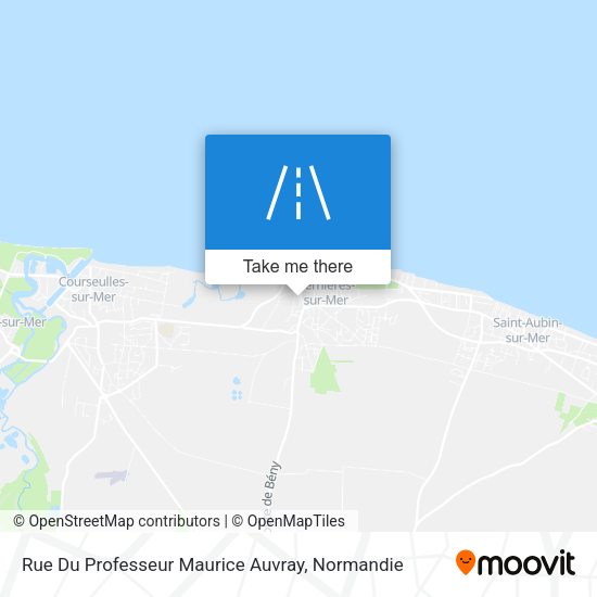 Rue Du Professeur Maurice Auvray map