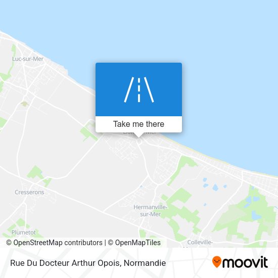 Rue Du Docteur Arthur Opois map