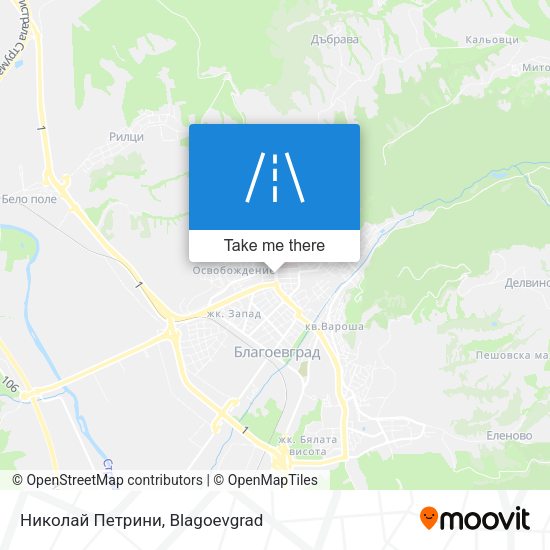 Николай Петрини map