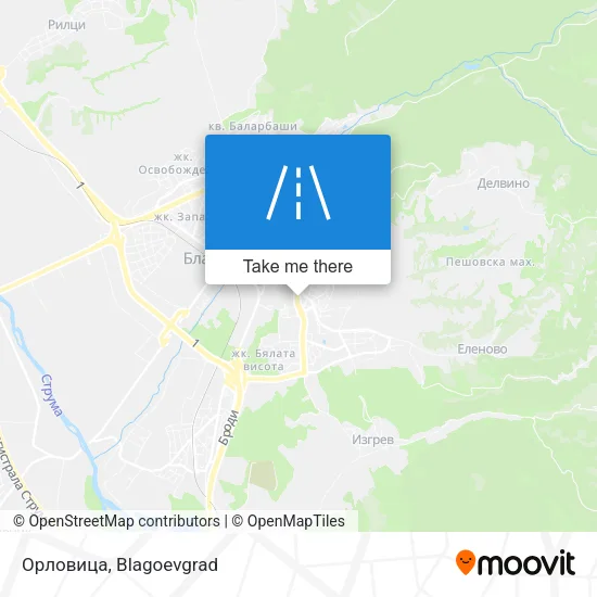 Карта Орловица
