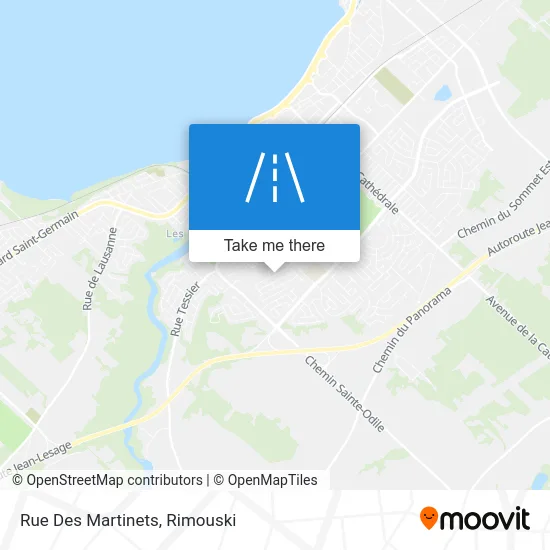 Rue Des Martinets map