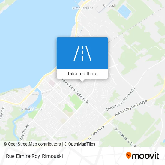 Rue Elmire-Roy map