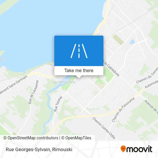 Rue Georges-Sylvain map