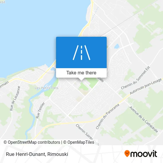 Rue Henri-Dunant map