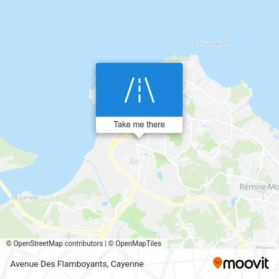 Avenue Des Flamboyants map