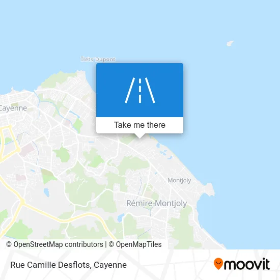 Rue Camille Desflots map
