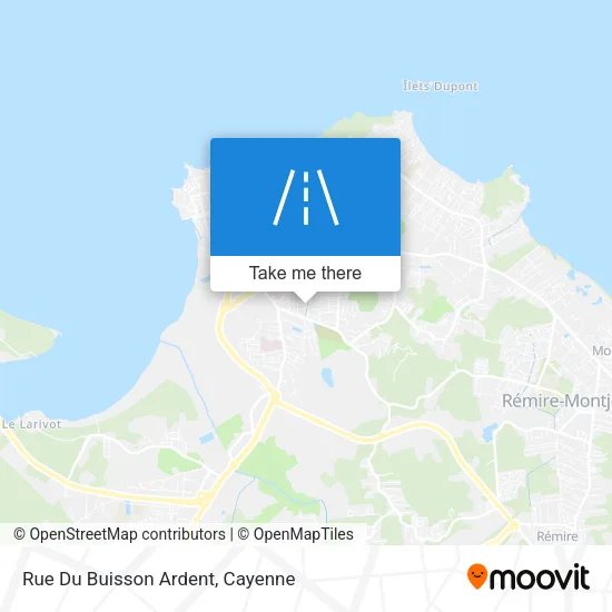 Rue Du Buisson Ardent map