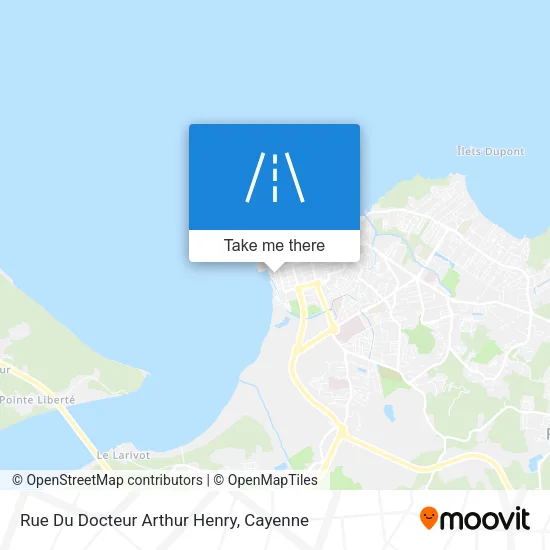 Rue Du Docteur Arthur Henry map