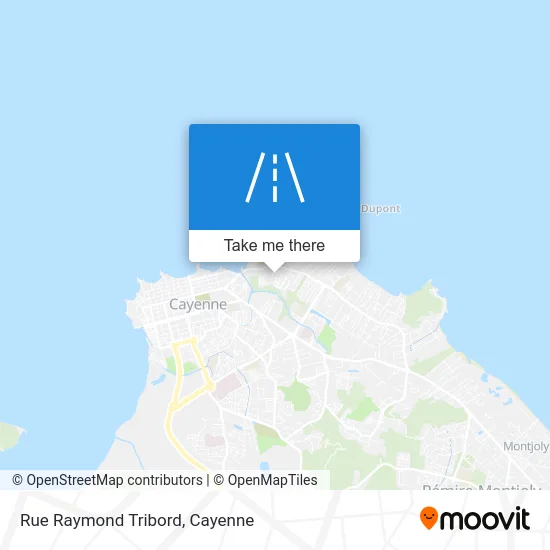 Rue Raymond Tribord map