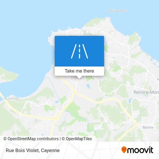 Rue Bois Violet map