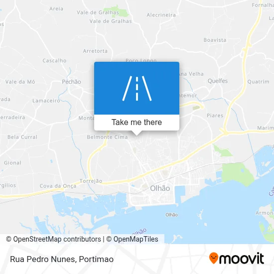 Rua Pedro Nunes map