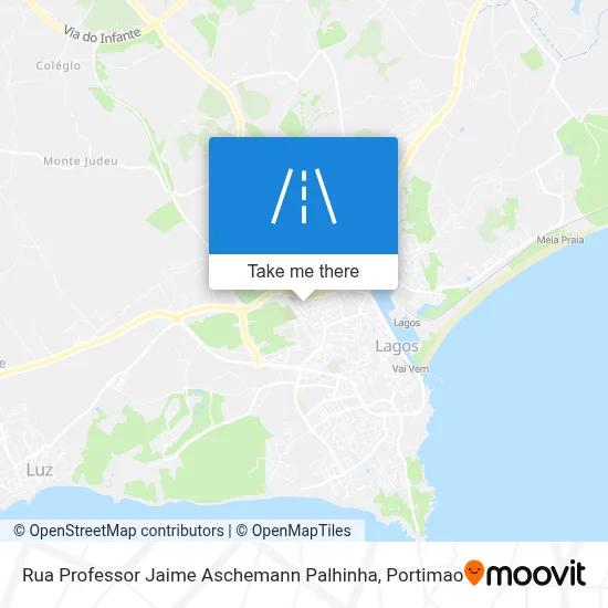 Rua Professor Jaime Aschemann Palhinha map