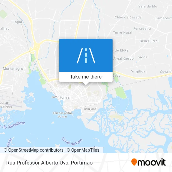 Rua Professor Alberto Uva map