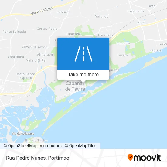Rua Pedro Nunes map