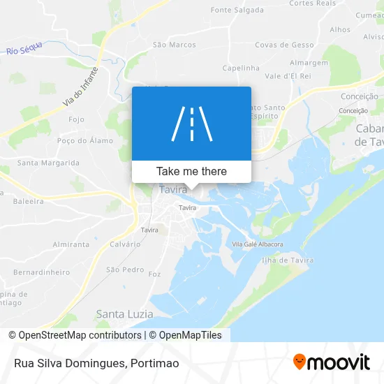 Rua Silva Domingues map