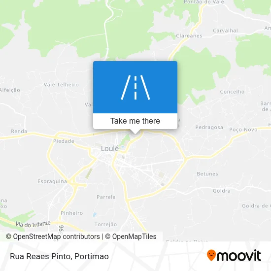 Rua Reaes Pinto map