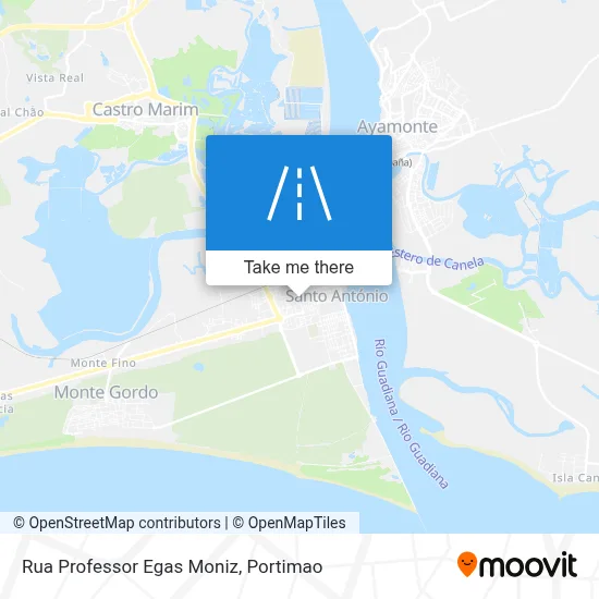 Rua Professor Egas Moniz map