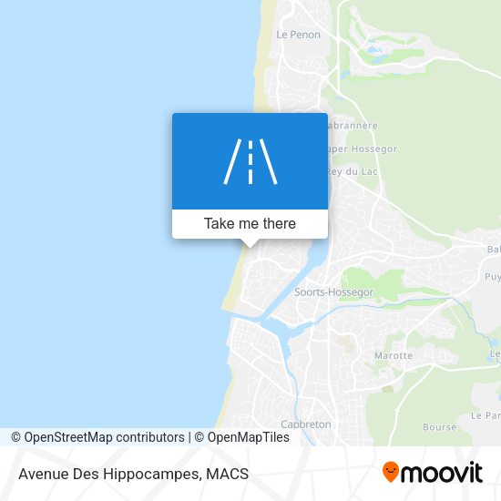 Avenue Des Hippocampes map