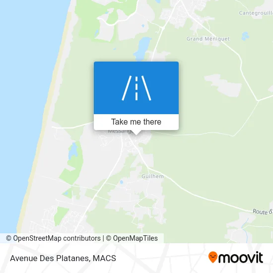 Avenue Des Platanes map