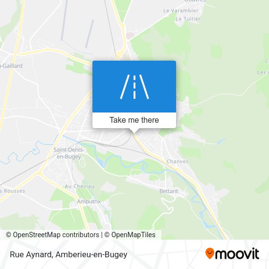 Rue Aynard map