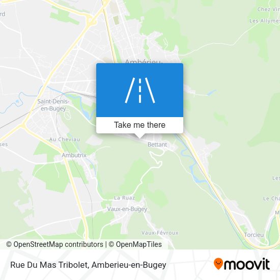 Rue Du Mas Tribolet map
