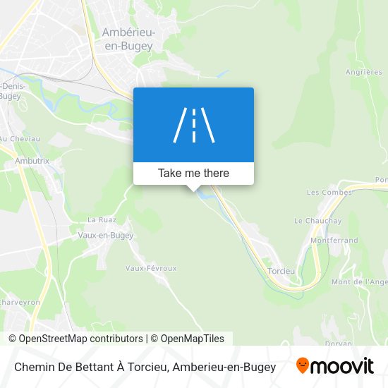 Chemin De Bettant À Torcieu map