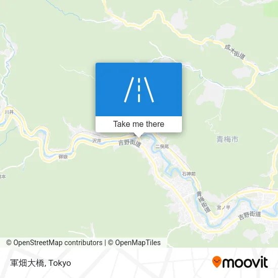 軍畑大橋 map