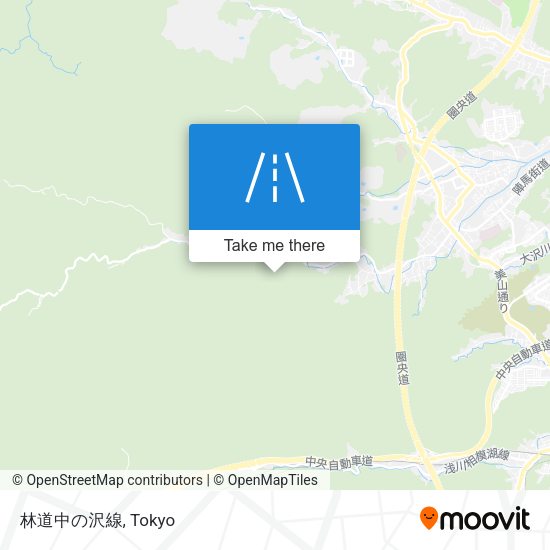 林道中の沢線 map