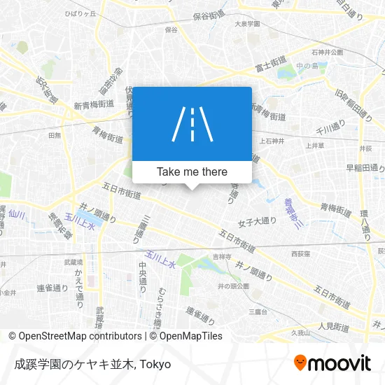 成蹊学園のケヤキ並木 map