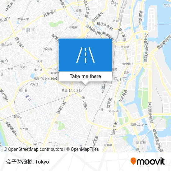 金子跨線橋 map