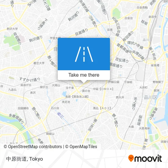 中原街道 map
