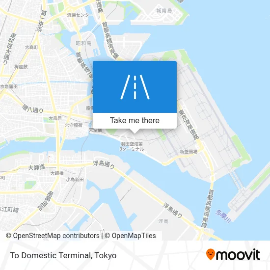 To Domestic Terminal map