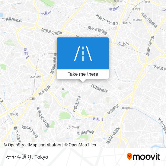 ケヤキ通り map