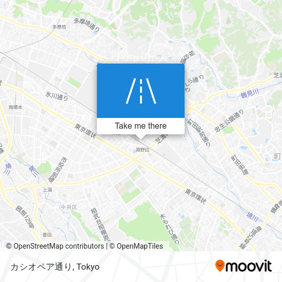 カシオペア通り map