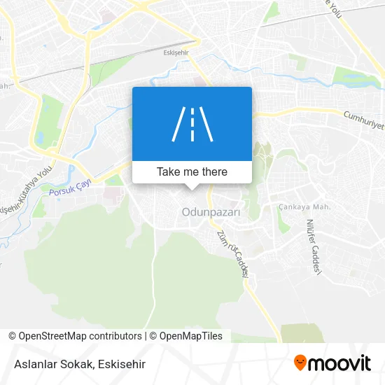 Aslanlar Sokak map