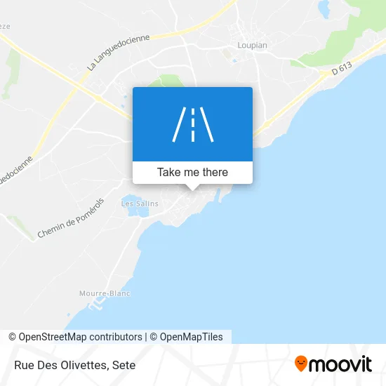 Mapa Rue Des Olivettes